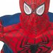 Dguisement The Amazing Spiderman 2 Luxe. n2