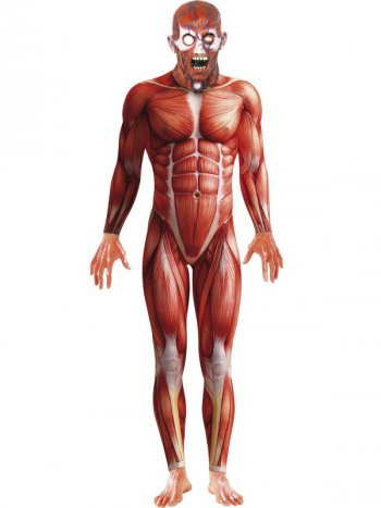 Dguisement Homme Anatomique 