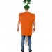 Dguisement de carotte. n2