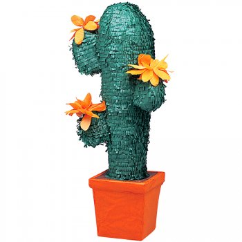 Pinata Cactus 